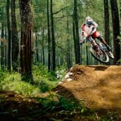 A mountain bike listing that matched a saved search